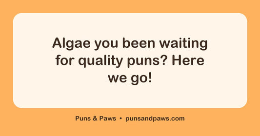 Algae puns hero card by Puns & Paws: "Algae you been waiting for quality puns? Here we go!"