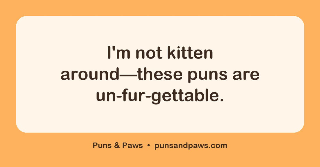 Cat puns and jokes hero card by Puns & Paws: "I'm not kitten around—these puns are un-fur-gettable."