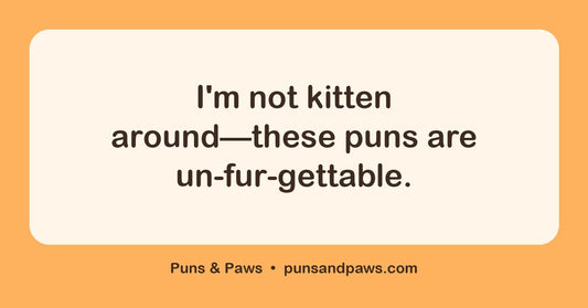 Cat puns and jokes hero card by Puns & Paws: "I'm not kitten around—these puns are un-fur-gettable."