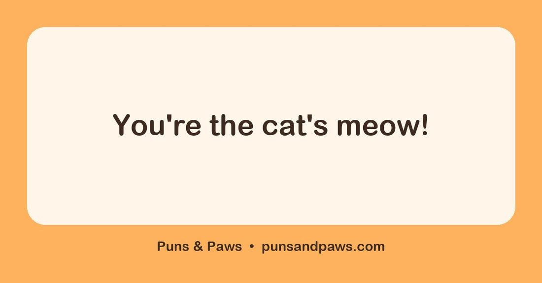 Cute cat puns hero card by Puns & Paws: "You're the cat's meow!"