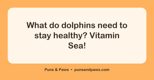 Dolphin puns hero card by Puns & Paws: "What do dolphins need to stay healthy? Vitamin Sea!"