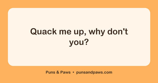 Duck puns hero card by Puns & Paws: "Quack me up, why don't you?"