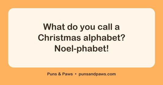 Funny xmas puns hero card by Puns & Paws: "What do you call a Christmas alphabet? Noel-phabet!"