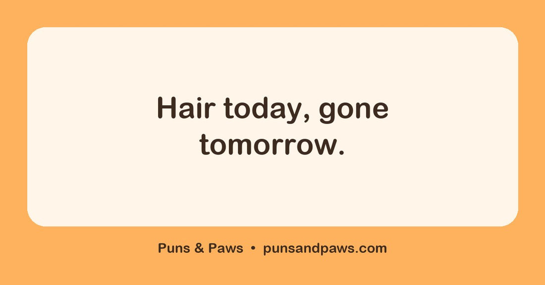 Haircut puns hero card by Puns & Paws: "Hair today, gone tomorrow."