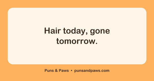 Haircut puns hero card by Puns & Paws: "Hair today, gone tomorrow."