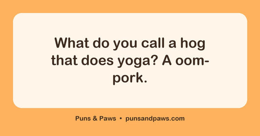 Hog puns hero card by Puns & Paws: "What do you call a hog that does yoga? A oom-pork."