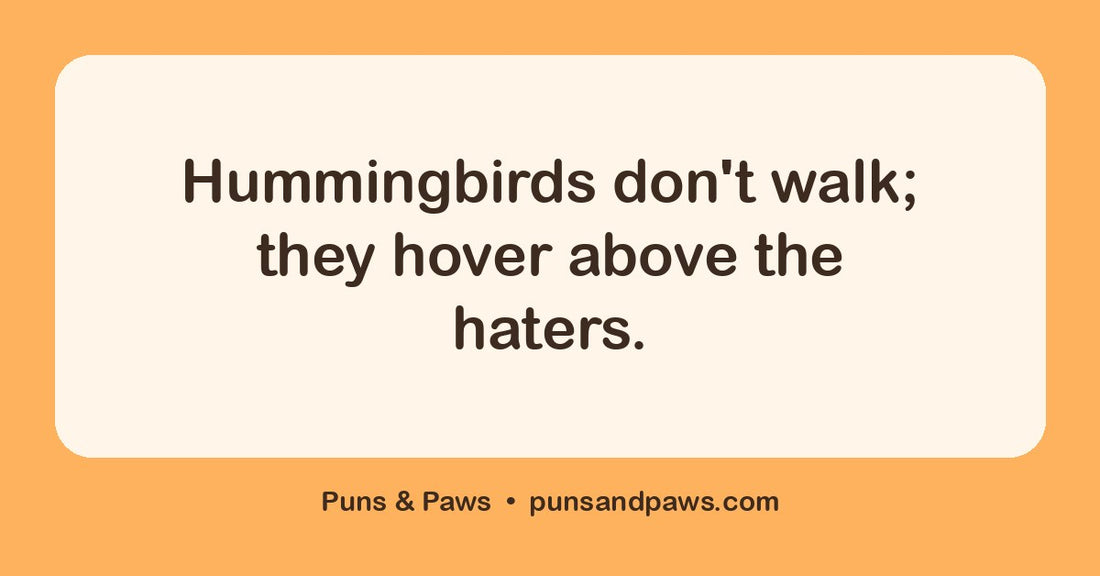 Hummingbird puns hero card by Puns & Paws: "Hummingbirds don't walk; they hover above the haters."