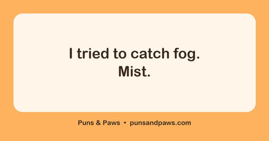 One word puns hero card by Puns & Paws: "I tried to catch fog. Mist."
