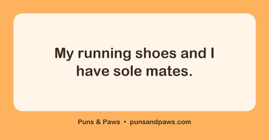 Runner puns hero card by Puns & Paws: "My running shoes and I have sole mates."