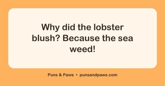 Seafood puns hero card by Puns & Paws: "Why did the lobster blush? Because the sea weed!"