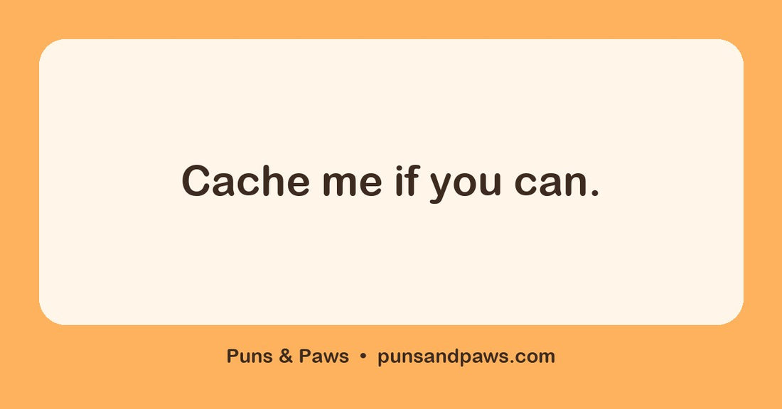 Website puns hero card by Puns & Paws: "Cache me if you can."