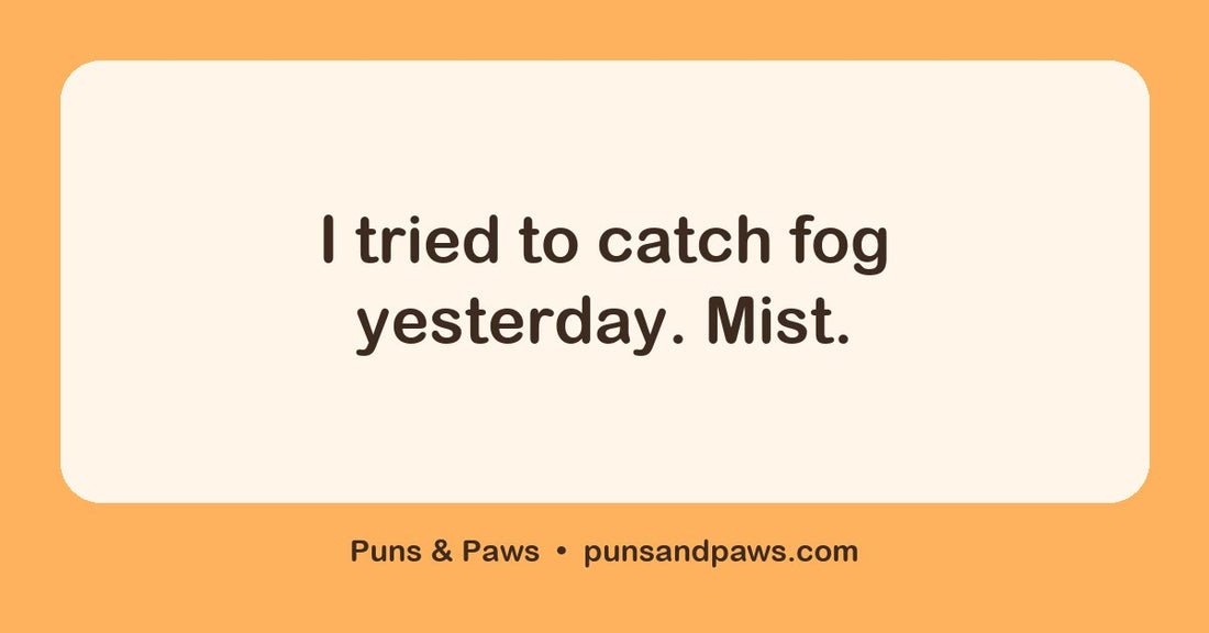 Wordplay and puns hero card by Puns & Paws: "I tried to catch fog yesterday. Mist."